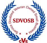 CVE Certification